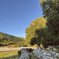 Красивая осень :: Георгиевич 