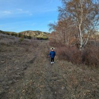 Лесными стежками осени :: Андрей Хлопонин Лесными стежками осени :: Андрей Хлопонин