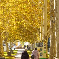 Проходя мимо театра.... :: Светлана Тихонина