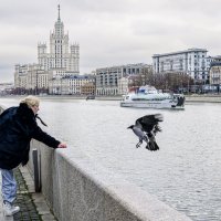 Голуби-) :: Валерий Пославский