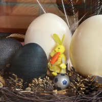 Московская область. Серпухов. Ферма «Русский страус». :: Наташа *****