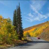 Осень :: **** vedin Осень :: **** vedin