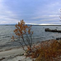 Осенняя Имандра :: Ольга 