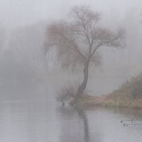 *** :: Владимир Безбородов *** :: Владимир Безбородов