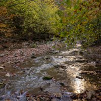 Адыгея.Поход к водопадам. :: ирина )))