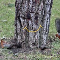 Вместе- веселее!) :: Любовь 