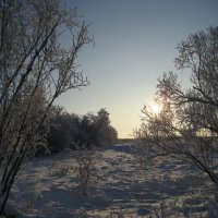 Зима :: Anna Ivanova Зима :: Anna Ivanova