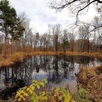 Осень :: Александр Алексеенко