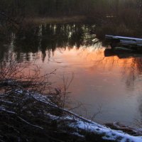 *** :: Галина Полина