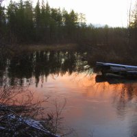В речке розовая вода. :: Галина Полина