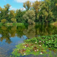 Ботанический сад в Самаре :: Надежда 