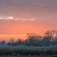Морозное утро. :: Александр 