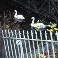 лебяжий канал :: sv.kaschuk 