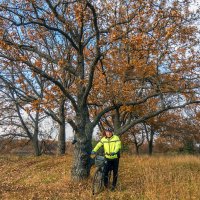 В осенней дубраве :: Сергей Цветков В осенней дубраве :: Сергей Цветков