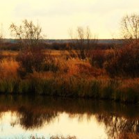 В темных тонах :: Сергей Никифоров