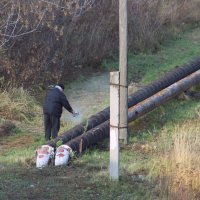 Два старика :: Елена Минина