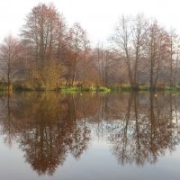 Отражение осени :: Андрей Снегерёв