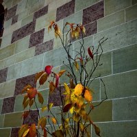 Осень 49 :: Алексей Кузнецов