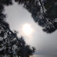 Какая мирная картина :: Натали 