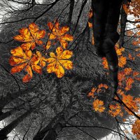 На мотив Константина Бальмонта :: Victor Vinocurov