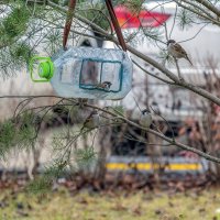 Очередь :: Валерий Иванович