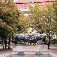 Калининград. Борющиеся зубры. :: Ольга 