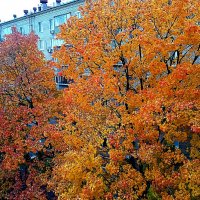 Осень. :: Владимир Драгунский Осень. :: Владимир Драгунский