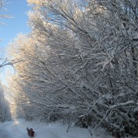 Аллея :: Anna Ivanova Аллея :: Anna Ivanova