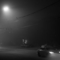 Туман :: Максим 