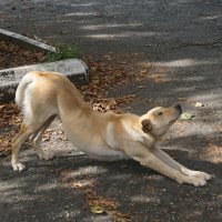 "Вот я какая!" :: Наталия Григорьева