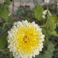 Ну пройти мимо, хоть и спешил, не смог. :: Giant Tao /