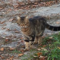 ** :: Зоя Мишина