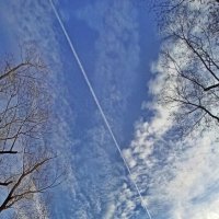 Полетаем?! :: veilins veilins