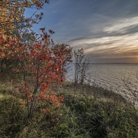 Осенний. :: Александр Иванович Шитов
