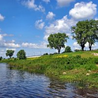 б/н :: Николай 