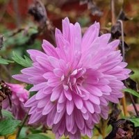 Настроение... :: Наталья 