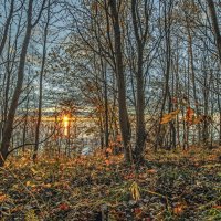 Осенний берег . :: Александр Иванович Шитов