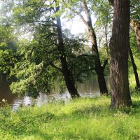 Парк. Елагин остров. :: Любовь ***