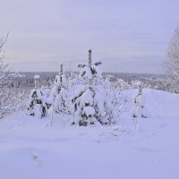 Заяц натоптал. :: Владимир Мигонькин