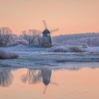 **** :: Елизавета .