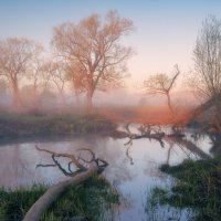 Заводёнка ... :: Roman Lunin