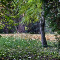 Осень в ботаническом саду. :: Лилия * Осень в ботаническом саду. :: Лилия *