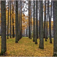 Октябрь . :: Aquarius - Сергей