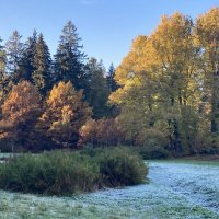 В парке :: Ольга Савельева 