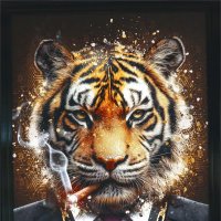 Divani Center 09,11,2025Г :: ujgcvbif 