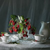 Малинка :: Olenka 