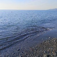 РИВЬЕРА :: Tata Wolf РИВЬЕРА :: Tata Wolf