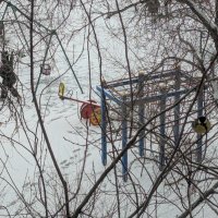 Ноябрь :: Андрей Хлопонин