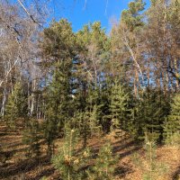 Осеннее время :: Андрей Хлопонин