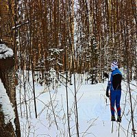 Декабрь...В тайге заснеженной! :: Владимир 